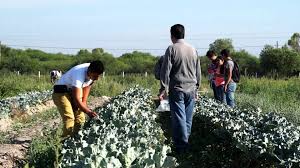 La recordación del día del ingeniero agrónomo (y del médico veterinario) tiene su origen en el 6 de agosto de 1883 cuando comenzó a dictarse por primera vez en la argentina la carrera de agronomía en la escuela agrotécnica y veterinaria santa catalina, en la ciudad de lomas de zamora. Ingeniero Agronomo Que Es Funciones Perfil Y Mas