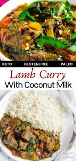 Add the coconut milk and stock and season with salt and pepper. Lamb Curry With Coconut Milk Low Carb Africa