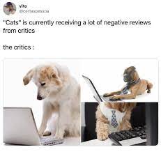 Twenty Five More Hilarious Cats Reviews From Traumatized Critics Funny Cats Hilarious Cats