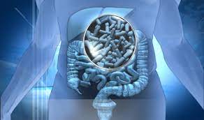 La Capital | Probioticos Bacterias Buenas Que Mantienen La Salud Intestinal