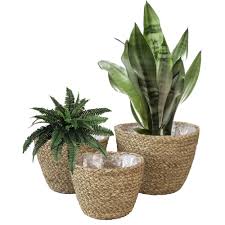 Buy indoor plant pots and get the best deals at the lowest prices on ebay! Set 3 Woven Plant Pot Basket Indoor Planters Natural Seagrass Willow Madeterra Uk