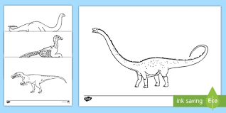 Tyrannosaurus is greek for tyrant lizard, and rex means king in latin. Dinosaur Colouring Pages Teacher Made