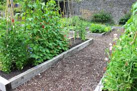 Raised beds are perfect for those with hard clay or soils with too much sand, too much or too little rain, and those with joint problems. Raised Fruits Veggies Garden Tips Kellogg Garden Organics