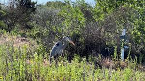 Just a few minutes...