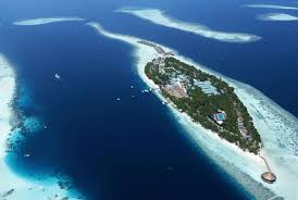 The Islandchief