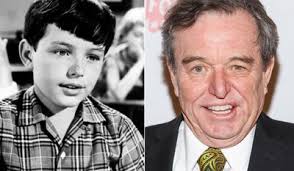 Jerry Mathers
