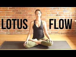 Free Gift 7 Day Yin Yoga Immersion Http Bit Ly Yinimmersion Hey Yogis This Week S Class Is One That Has Be Hip Opening Yoga Lotus Pose Yoga Lotus Pose