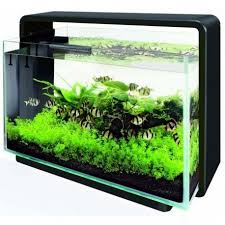 Superfish Home 80 Aquarium Black In 2020 Aquarium Aquarium Set Klein Aquarium