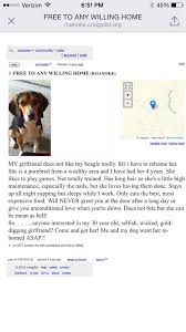 Get a daily email with the latest ads in your areas of interest. Man Posts About Dog And Girlfriend On Craigslist