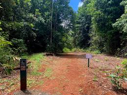 List of power stations in queensland. Hikers Guide To Windin Falls Atherton Tablelands Australia Hikers Movement