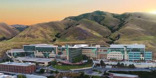 They are not just cute but their extraordinary appeal has the added benefit of great dressing and fashion. Huntsman Cancer Institute Named Among Most Beautiful Hospitals In The Us University Of Utah Health