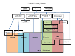 Organizational Chart University Library