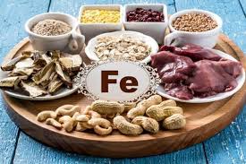 40 Aliments Riches En Fer Pour Avoir Une Sante De Fer Aliments Riches En Fer Aliments Riches En Vitamine D Et Alimentation