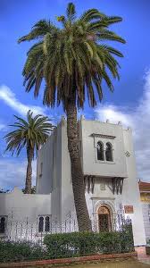 Jardin D Essai Alger Voyage En Afrique Jijel Et Paysage