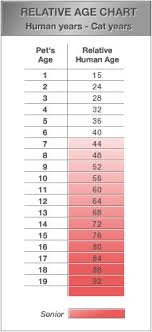 Cat years to human years. Human Years To Cat Years Calculator