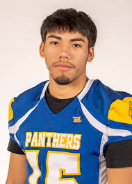 Declo Hornets football confident in state final return