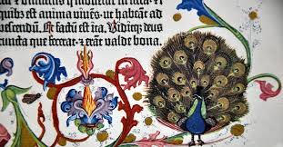 Made in mainz from 23 february 1453 in johannes gutenberg printing shop and finished printing on 24 august 1456, the gutenberg bible consists of two folio volumes of 322 and 319 sheets (for a total of 641 sheets, i.e. What Is The Gutenberg Bible