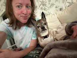 Cute cat pictures from the Lion Kings