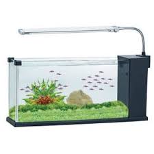 Bagi kalian yang menyukai dunia perikanan bahkan menjadikannya sebagai sebuah hobi untuk memelihara ikn dan mengembangkannya menjadikan sebuah bisnis yang cukup menjanjikan, sangat penting untuk anda memiliki model meja aquarium kayu berikut: Jual Aquarium Usb Desktop Fish Tank Akuarium Ikan Hias Big Tg 22 Di Lapak Central Importir Bukalapak