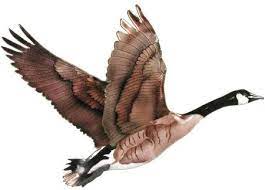Flying Goose Wall Sculpture Bovano Of Cheshire All Products W8000 Goose Drawing Goose Tattoo Flying Geese