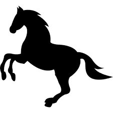 Pin On Animals Horses