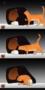 M Oarts Pounds Fists On Table Let Hux Have His Cat Star Wars Art Star Wars Memes Star Wars Ships