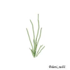 Flowers And Plants Sticker Set Botanical Stickers Floral Etsy Flower Illustration Floral Stickers Sticker Set