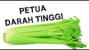 Diharapkan dengan sedikit sebanyak petua ini dapat membantu kita semua dalam melakukan aktiviti harian dengan lebih. Petua Darah Tinggi Daun Saderi Youtube
