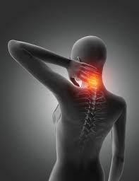 Free Photo 3d Female Medical Figure With Neck And Back Bones Highlighted