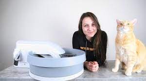 Petsafe Simply Clean Self Cleaning Litter Box Review We Tested It Youtube