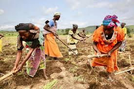 Work/labour | Open Encyclopedia of Anthropology
