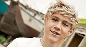 Last night , i got so upset thinking about how niall must feel and it niall is so selfless , that's another thing that makes him beautiful. 50 Fun Facts About Niall Horan The Fact Site