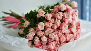 A lot of flowers rose. Pink Rose Flower Lot Hd Wallpapers Free Download Wallpaperbetter