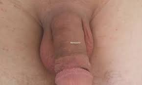 Films baldi sex arab watch online