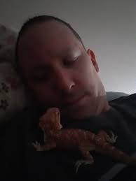 Bearded Dragons! Florida Owners ONLY!!