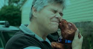 Feeding Pets of the Homeless®