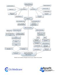 Ca Medicare Learn More About The Medicare Decision Flowchart