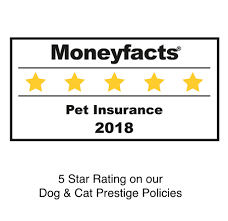 pet insurance for cats dogs from an award winning provider