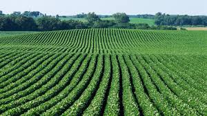 Get Ready For Agriculture 3.0 - CropLife