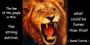 Ranal Currie On Twitter The Law Of The Jungle Is This The Strong Survive What Could Be Fairer Than This Quote Survival Strength Saturdaysunshine Https T Co Ckza6vrfcy Twitter
