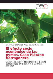 Amazon.com: El efecto socio económico de las pymes, Caso Plátano  Barraganete: Desarrollo socio