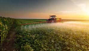 3 ways insecticides can be counterproductive in agriculture