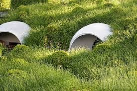 Dermot Gavin Gardens Google Search Diarmuid Gavin Outdoor Gardens Garden Inspiration
