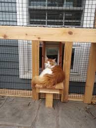 Meanwhile, outdoor enclosures should have a floor space of about 2 square meters. Cedar Cat Enclosure Atlanta By Zeigler Homestead Services Houzz