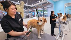 For dogs and cats, pet owners can find products such as wet and dry food, toys, collars, leashes, apparel, bowls, crates i called petco.com several times (8 by now), each time a different person would just say they will look into it. Petco Launches Petcoach A Higher End Store Centered On Pet Services Los Angeles Times