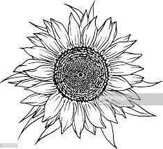 Bracelets and bow tattoos are popular as well. Image Result For Traceable Sunflower Pattern Sunflower Drawing Mandala Drawing Sunflower Mandala