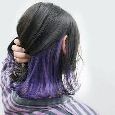 Save Follow Me In 2020 Hidden Hair Color Hair Color Underneath Under Hair Color