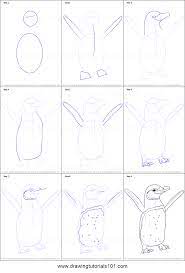 Get this penguin coloring pages free to print 67319. How To Draw A Galapagos Penguin Printable Step By Step Drawing Sheet Drawingtutorials101 Com