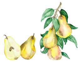 Discover canvas art prints, photos, mural, big canvas art and framed wall art in greatbigcanvas.com's varied collections. 11 Best Branches Of Fruit Trees Images Stock Photos Vectors Adobe Stock