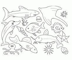Sea Animals Coloring Pages Pdf Coloringfolder Com In 2021 Fish Coloring Page Animal Coloring Pages Ocean Coloring Pages